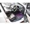 Honda Civic Door Illumination Kit V2 Carbon Fiber With Dashboard 2016-2021 thumbnail 4