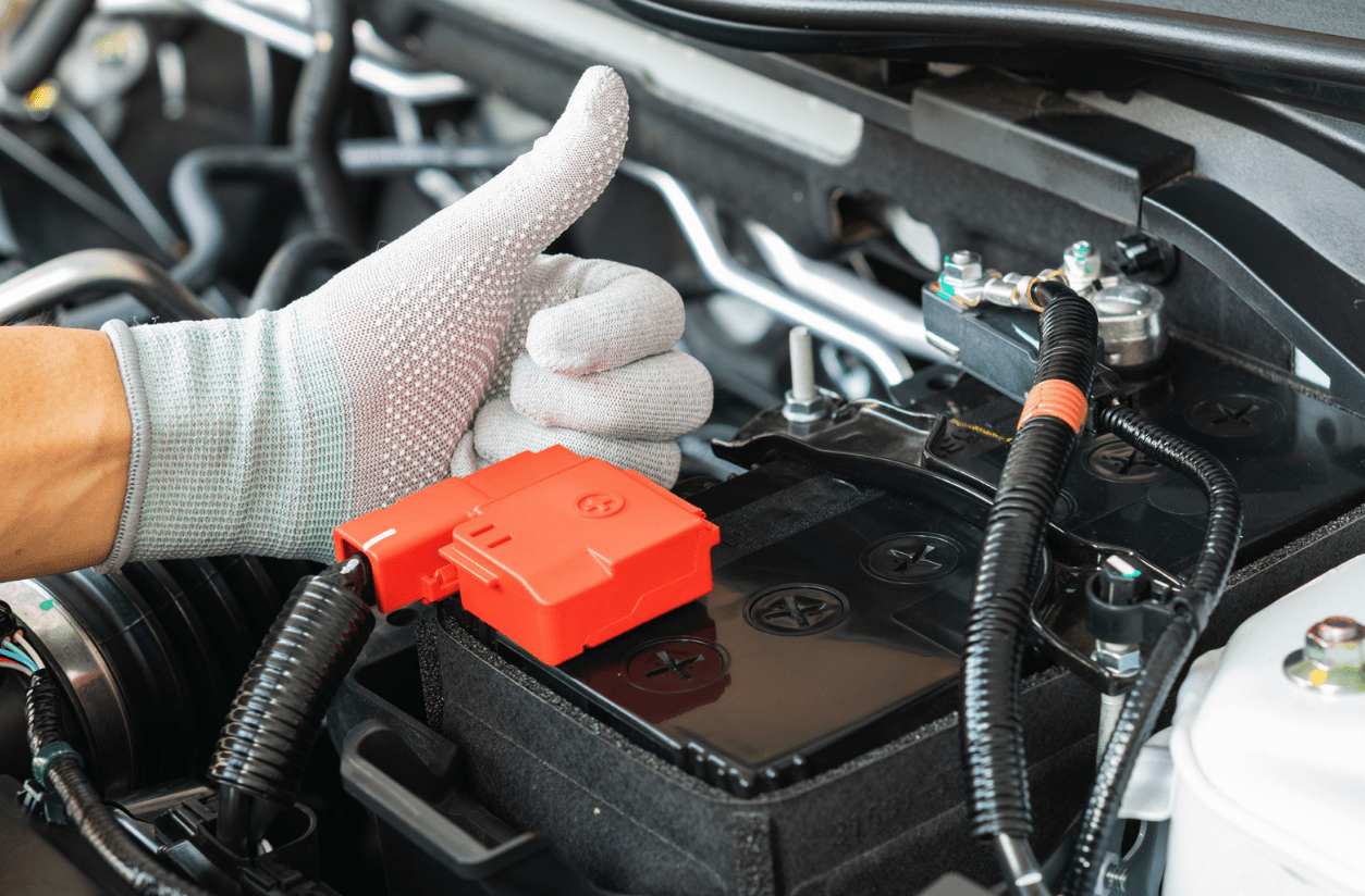 Car Battery Maintenance Tips Variety of Options