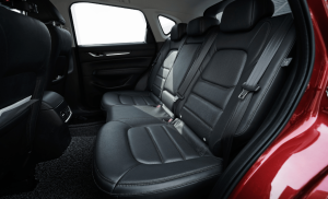 black Luxurious Seat Covers