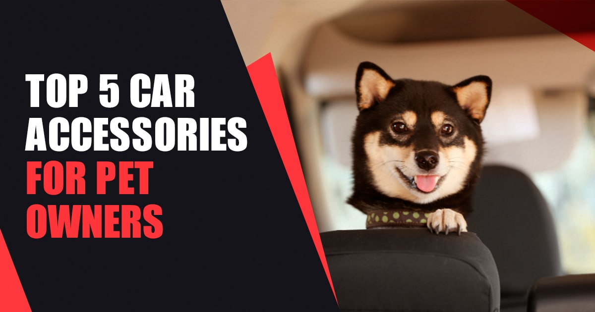 Car Accessories For Pet Owners